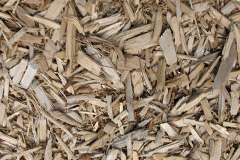 biomass boilers Rhuallt
